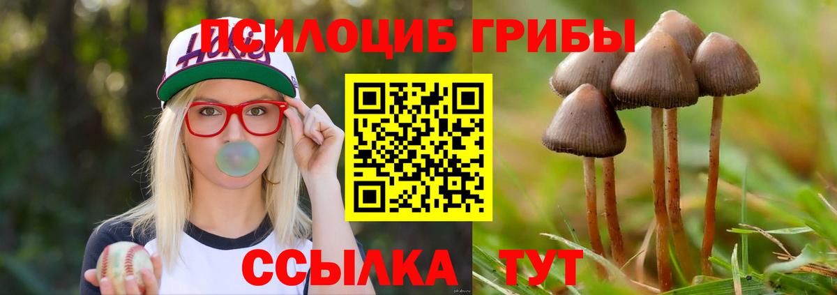 Псилоцибиновые грибы MAGIC MUSHROOMS Ртищево